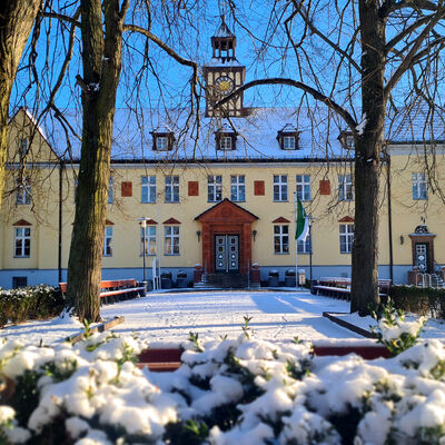Bild vergrößern: Das Rathaus im Winter. Verschneite Hecke im Vordergrund.