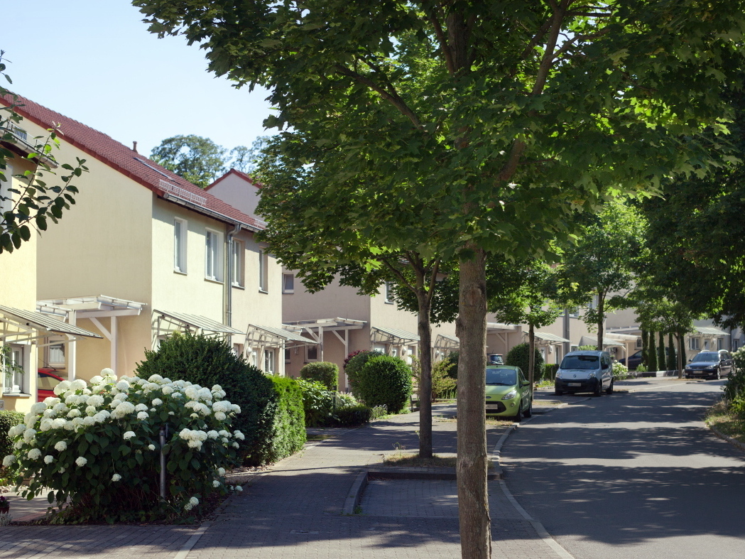 Bild vergrößern: Eine Straße mit kleinen Wohnhäusern und jungen Bäumen.