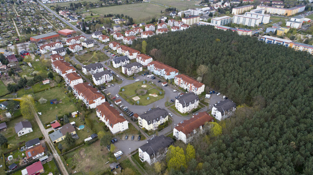 Bild vergrößern: Der städtische Wald am Wohngebiet Kuschelhain.