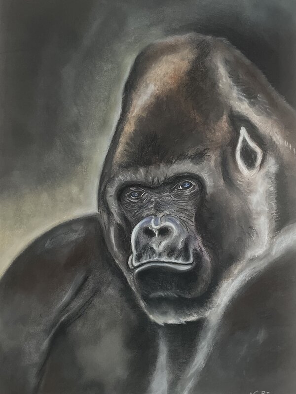 Bild vergr&ouml;&szlig;ern: Digitale Kunstgalerie: Gorilla, Pastellkreide (2025) von Natalia B&ouml;rschel / K&uuml;nstlertreff Velten