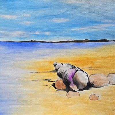 Bild vergr&ouml;&szlig;ern: Digitale Kunstgalerie: Schnecke am Strand, Aquarell auf Papier, 2020, K&uuml;nstler: Jens Biereigel