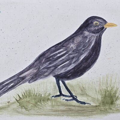Bild vergr&ouml;&szlig;ern: Digitale Kunstgalerie: Amsel, Aquarell auf Papier, 2024, K&uuml;nstlerin: Helma Thulke-Marquardt / K&uuml;nstlertreff Velten
