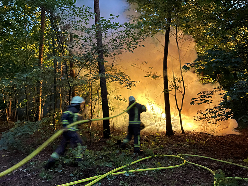 Bild vergrößern: Zwei Kameraden löschen mit Wasserschläuchen einen Waldbrand.