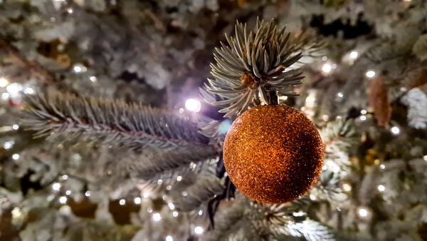 Bild vergrößern: Eine Kugel am Weihnachtsbaum.