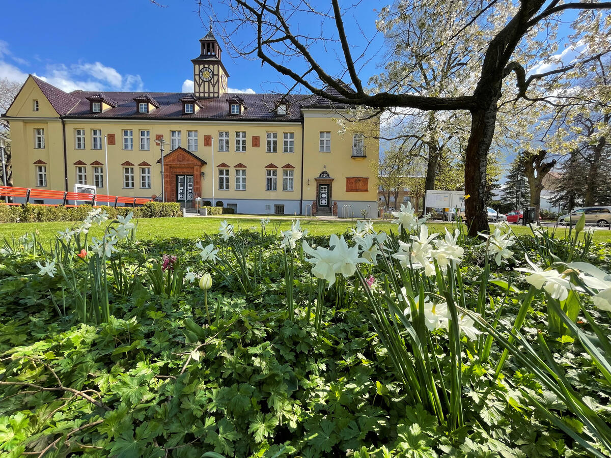 Bild vergrößern: Das Veltener Rathaus umgeben von schönen Frühlingsblühern.